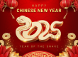Chinese New Year_2025