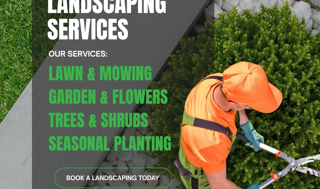 Trusted-Landscaping-Services-sepadugroup