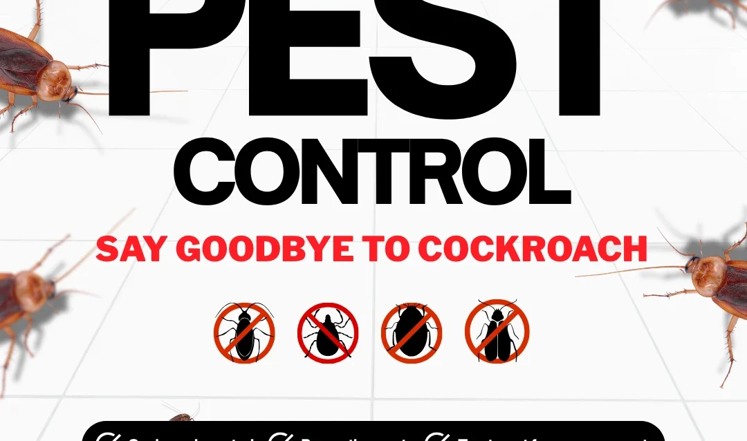 Say goodbye to pests and hello to a clean, safe home! from sepadugroup