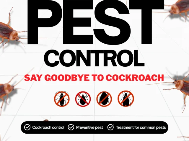 Say goodbye to pests and hello to a clean, safe home! from sepadugroup