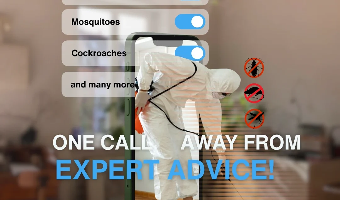 pest control one call away from sepadugroup pest-control-one-call-away-from-sepadugroup