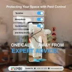 pest-control-one-call-away-from-sepadugroup