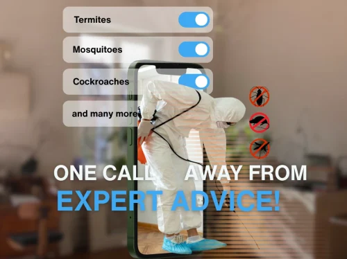pest control one call away from sepadugroup pest-control-one-call-away-from-sepadugroup